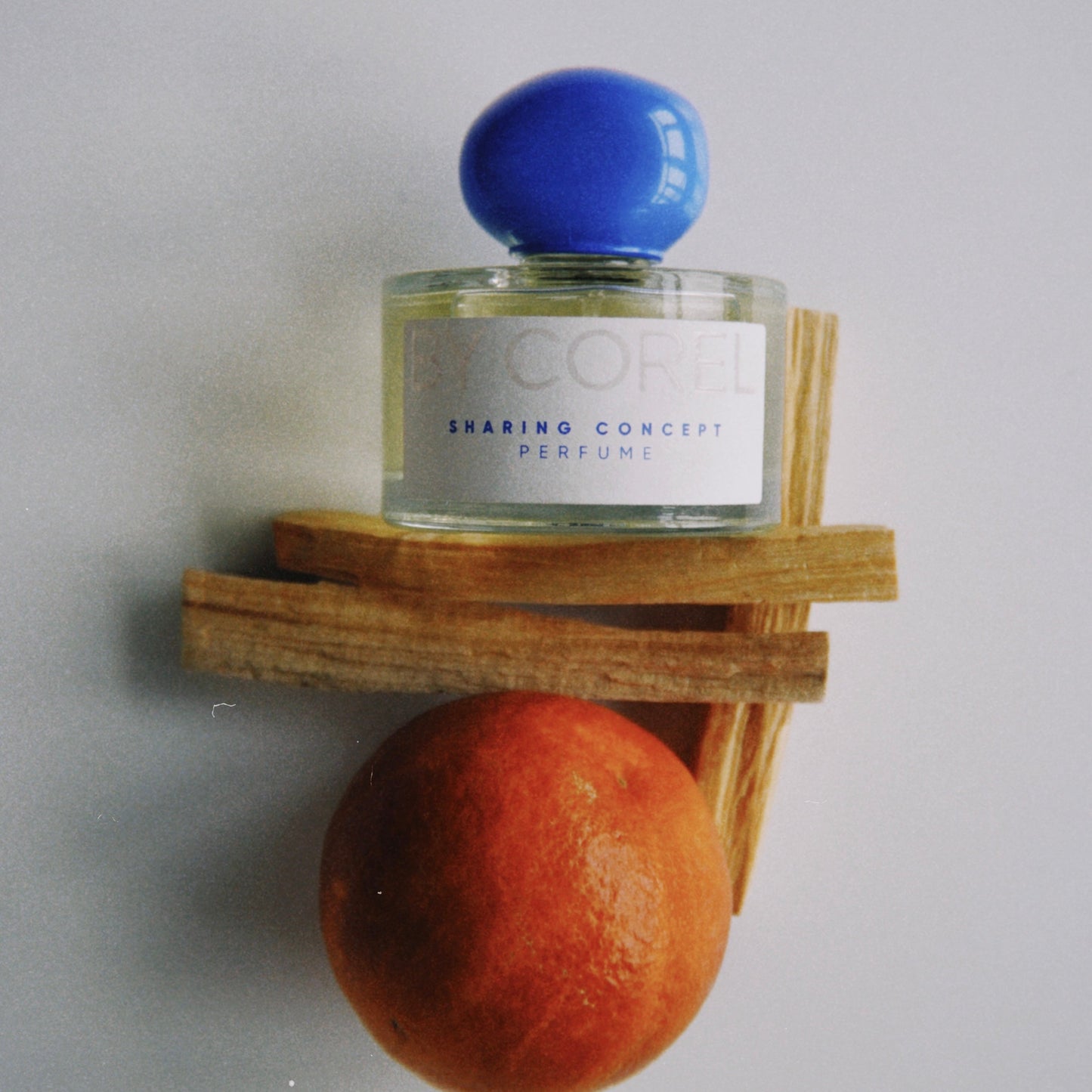 By Corel Sharing Concept